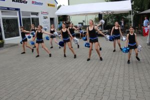 Reifenservice Schwanebeck 27.06.2015_84