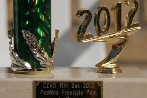 CCVD RM Ost Riesa - 31. März 2012_67