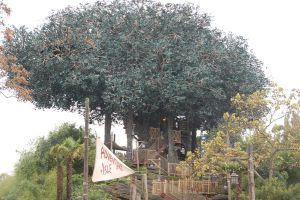 Paris / European Open 2012 - 1.-4. November 2012_108