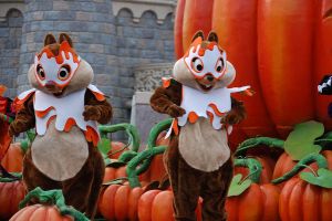 Paris / European Open 2012 - 1.-4. November 2012_143