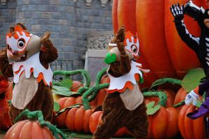 Paris / European Open 2012 - 1.-4. November 2012_144