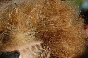 Paris / European Open 2012 - 1.-4. November 2012_187