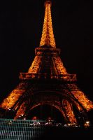 Paris / European Open 2012 - 1.-4. November 2012_52