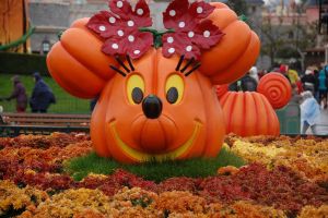 Paris / European Open 2012 - 1.-4. November 2012_76