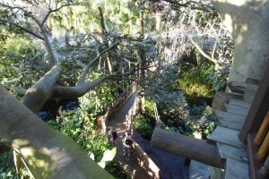 International All Star Championship Orlando/USA - 9. März 2013_52