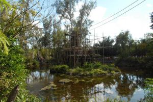 International All Star Championship Orlando/USA - 9. März 2013_85