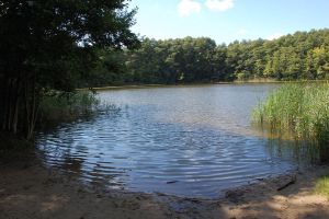 Dance Camp FreshKidz & So Happy / Buckow - 23.-25. August 2013_62