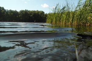 Dance Camp FreshKidz & So Happy / Buckow - 23.-25. August 2013_63