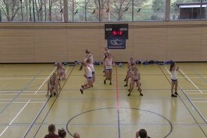 SwansDanceDay 2014_52