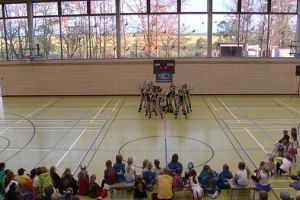 SwansDanceDay 2014_65