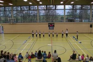 SwansDanceDay 2014_92