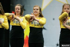 CCVD Regio Ost Riesa 15.03.2014_101