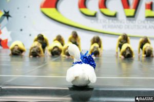 CCVD Regio Ost Riesa 15.03.2014_92