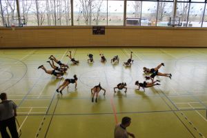 Basketball 15.03.2015_92