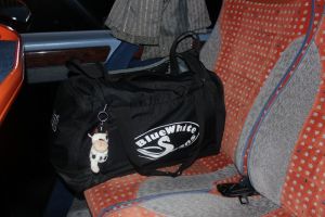 Regionalmeisterschaft Ost Riesa 21.03.2015_117