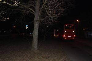 Regionalmeisterschaft Ost Riesa 21.03.2015_127