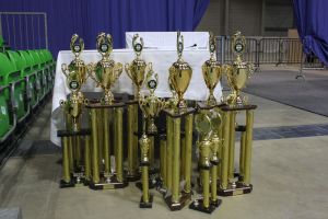 Regionalmeisterschaft Ost Riesa 21.03.2015_140