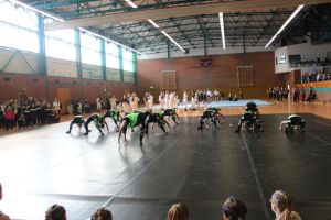 Regionalmeisterschaft Ost Riesa 21.03.2015_182