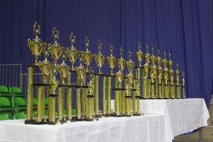 Regionalmeisterschaft Ost Riesa 21.03.2015_222