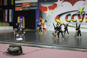 CCVD DM Riesa 17.05.2015_117