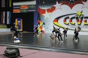 CCVD DM Riesa 17.05.2015_119