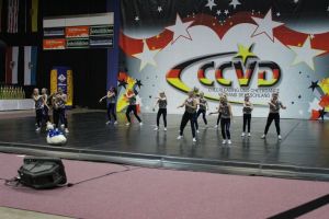 CCVD DM Riesa 17.05.2015_126