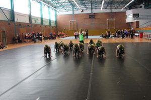 CCVD DM Riesa 17.05.2015_156