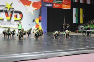 CCVD DM Riesa 17.05.2015_208