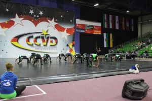 CCVD DM Riesa 17.05.2015_236