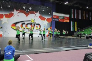 CCVD DM Riesa 17.05.2015_263