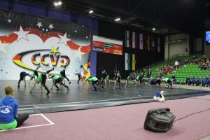 CCVD DM Riesa 17.05.2015_282