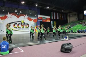 CCVD DM Riesa 17.05.2015_294