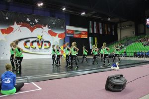 CCVD DM Riesa 17.05.2015_295
