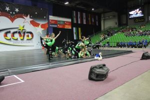 CCVD DM Riesa 17.05.2015_305