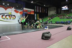 CCVD DM Riesa 17.05.2015_310