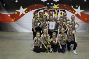 CCVD DM Riesa 17.05.2015_375