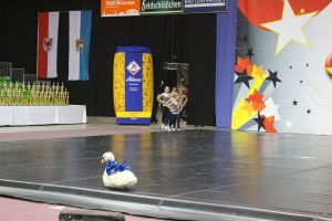 CCVD DM Riesa 17.05.2015_65