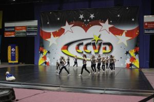 CCVD DM Riesa 17.05.2015_71