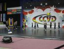 CCVD DM Riesa 17.05.2015_78