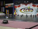 CCVD DM Riesa 17.05.2015_79