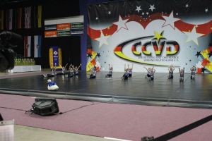 CCVD DM Riesa 17.05.2015_80