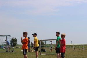 Schwanebeck 06.06.2015_101