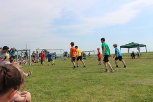 Schwanebeck 06.06.2015_110