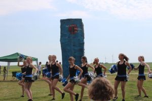 Schwanebeck 06.06.2015_64