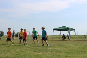 Schwanebeck 06.06.2015_90