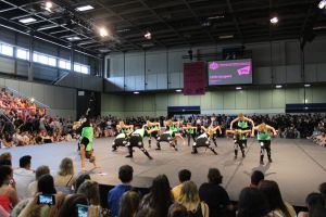 Berliner StreetDanceMeisterschaft 04.07.2015_136