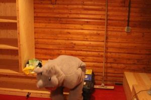 DanceCamp SD Blossin 12.-14.02.2016_142