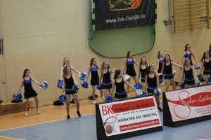 Basketball 02.04.2016_116