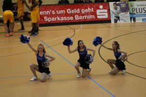 Basketball 02.04.2016_140