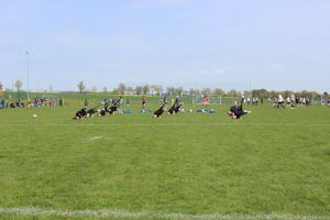 Don Giovanni Cup 30.04.2016_72